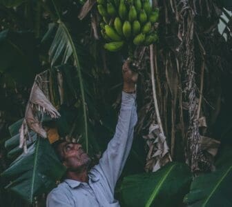A Agroecologia é Sustentável, mas ainda Pouco Usada no Brasil