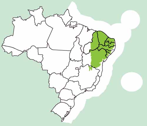 Mapa da Caatinga