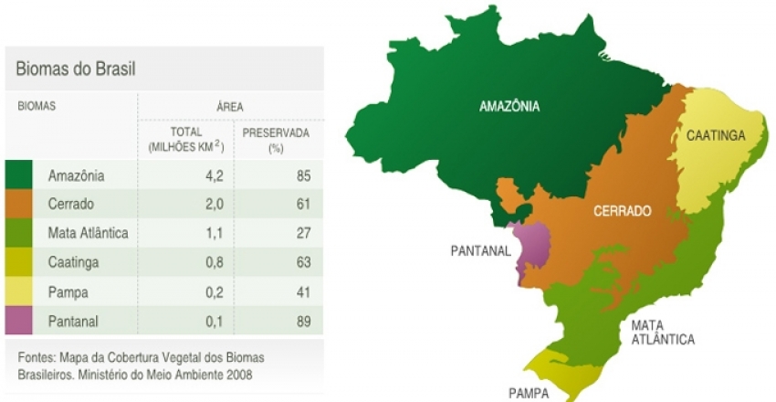 Quais São Os Biomas Do Brasil Descrição E Características