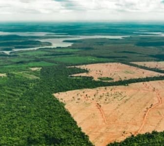 A Amazônia e as mudanças climáticas no Brasil