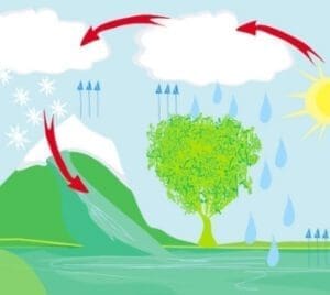Ecossistemas - ciclo da água e o papel das cidades