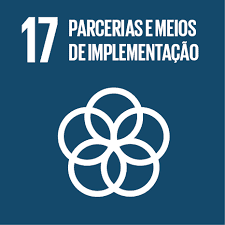 objetivos do desenvolvimento sustentável - Agenda 2030 - Parcerias e Meios de Implementação – 17: só objetivo?