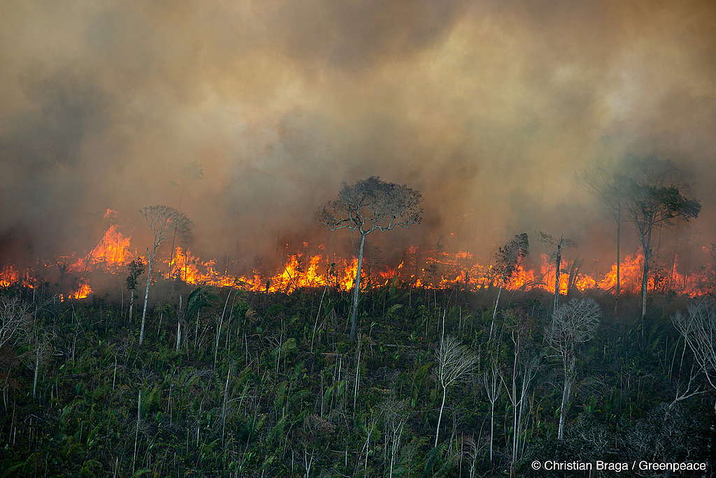 Queimadas e emissões de Co2 