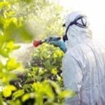 Uso de agrotóxicos e pesticidas- impactos ambientais nos solos brasileiros