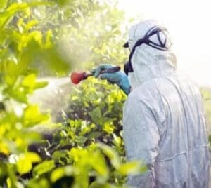 Uso de agrotóxicos  e pesticidas- impactos ambientais nos solos brasileiros