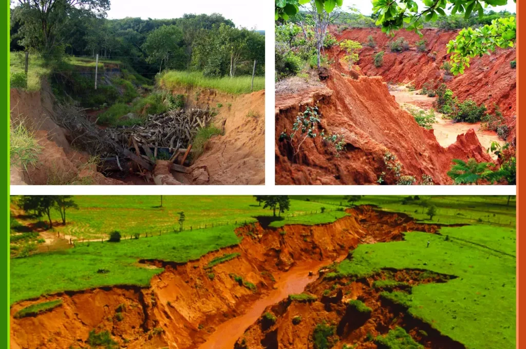 impactos ambientais nos solos brasileiros