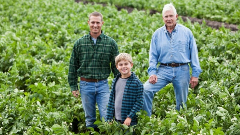 Agricultura sustentável -familiar ods 2