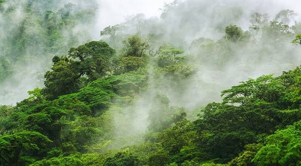mudanças climáticas floresta amazônica