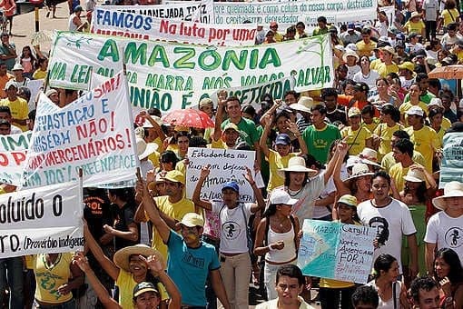 A História dos Movimentos Ambientalistas no Brasil em décadas