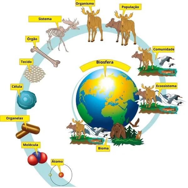 biodiversidade