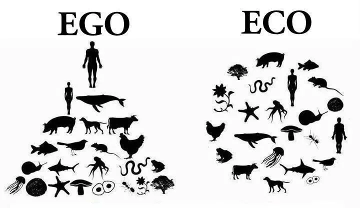 Ecodesenvolvimento, ecologia profunda