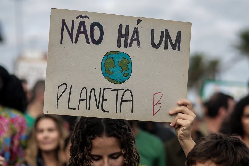 A incrível história dos movimentos ambientalistas no Brasil e as ...