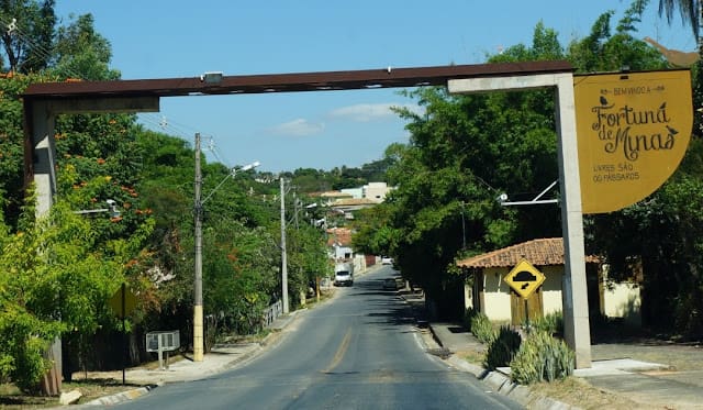 Pássaros nas cidades