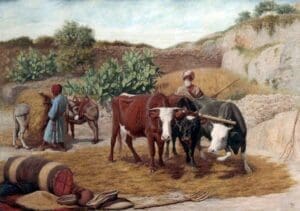 Historia da agricultura - início