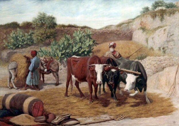 História da Agricultura: o problema que precisa ser repensado