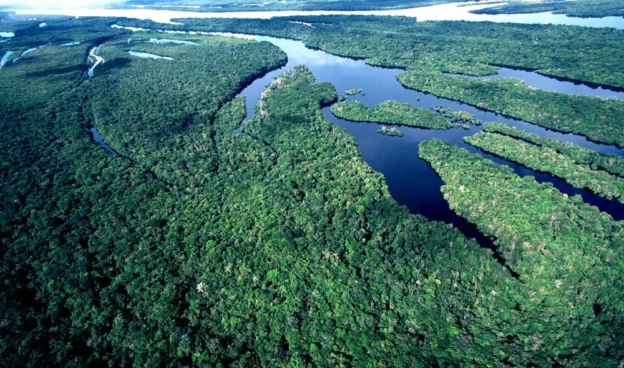 O que é a Reserva da Biosfera da Amazônia Central? Características