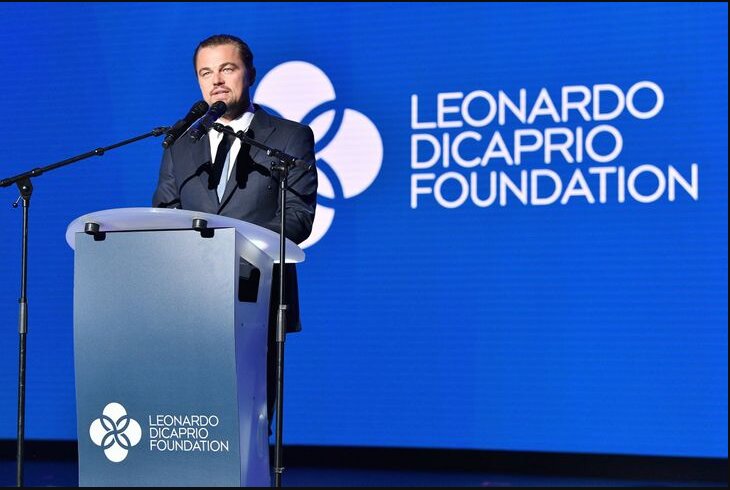 Fundação Leonardo DiCaprio atua em causas a favor do meio ambiente