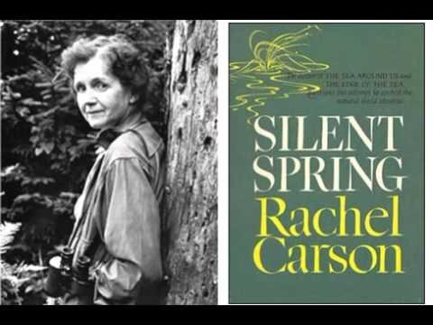 Livro Primavera Silenciosa de Rachel Carson