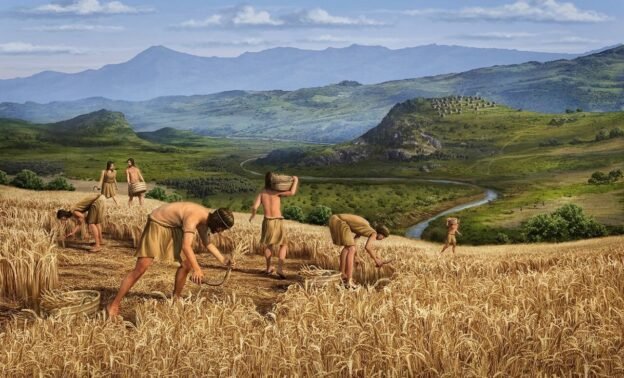 História da Agricultura - Contexto, impactos, reflexão e reavaliação