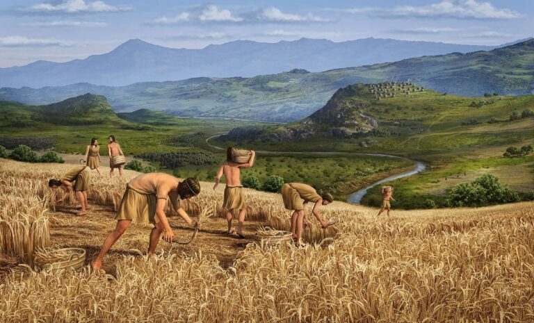 História da Agricultura - Contexto, impactos, reflexão e reavaliação