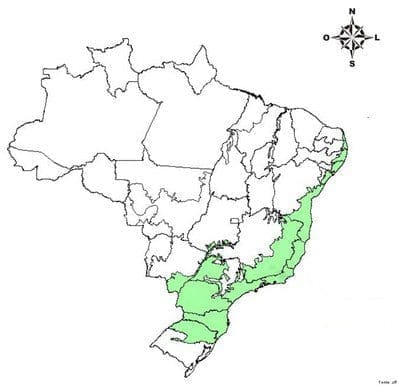 Mapa do Bioma Mata Atlântica