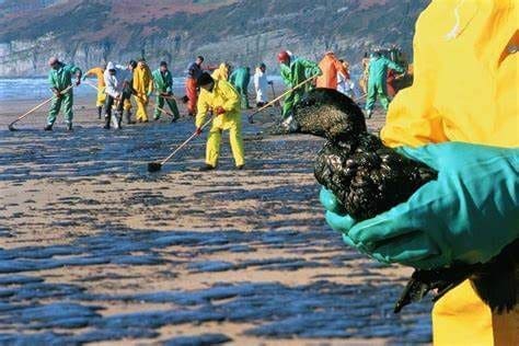 Limpeza de praia devido ao derramamento de óleo