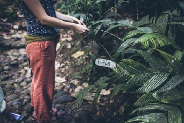 Mulheres na sustentabilidade