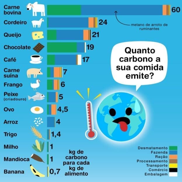 Pegada Ecol Gica Como Ela Mede Nosso Impacto No Planeta