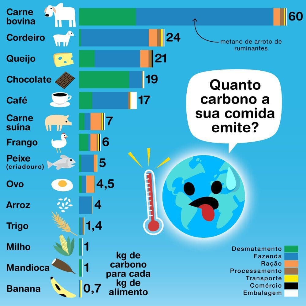 Como calcular pegada de carbono