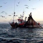 pesca e aquicultura
