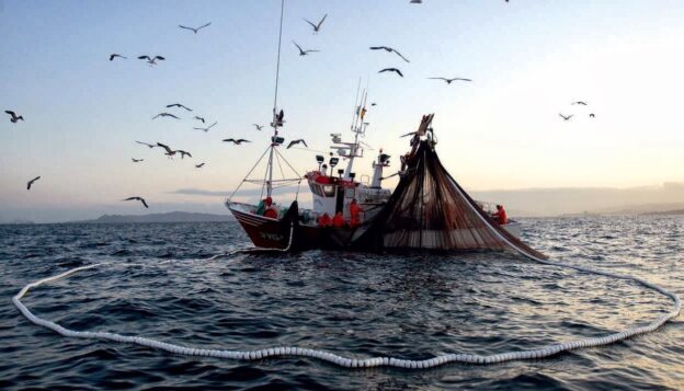 Os impactos da pesca na sustentabilidade do planeta - extinção das espécies