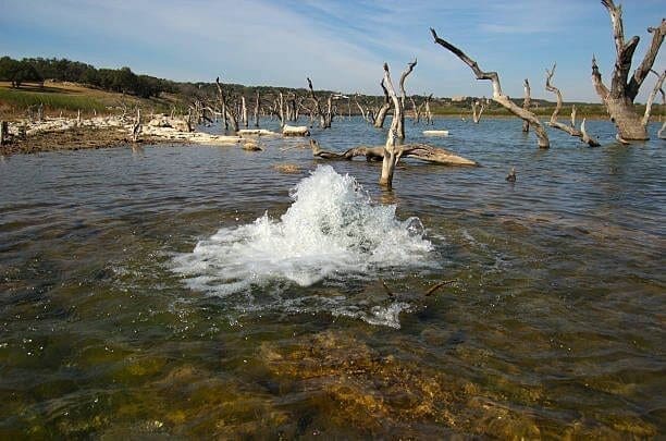 Aquífero Guarani - recursos hídricos