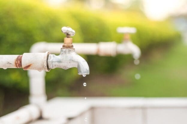 Estresse hídrico e a escassez de água: qual a diferença e impactos?