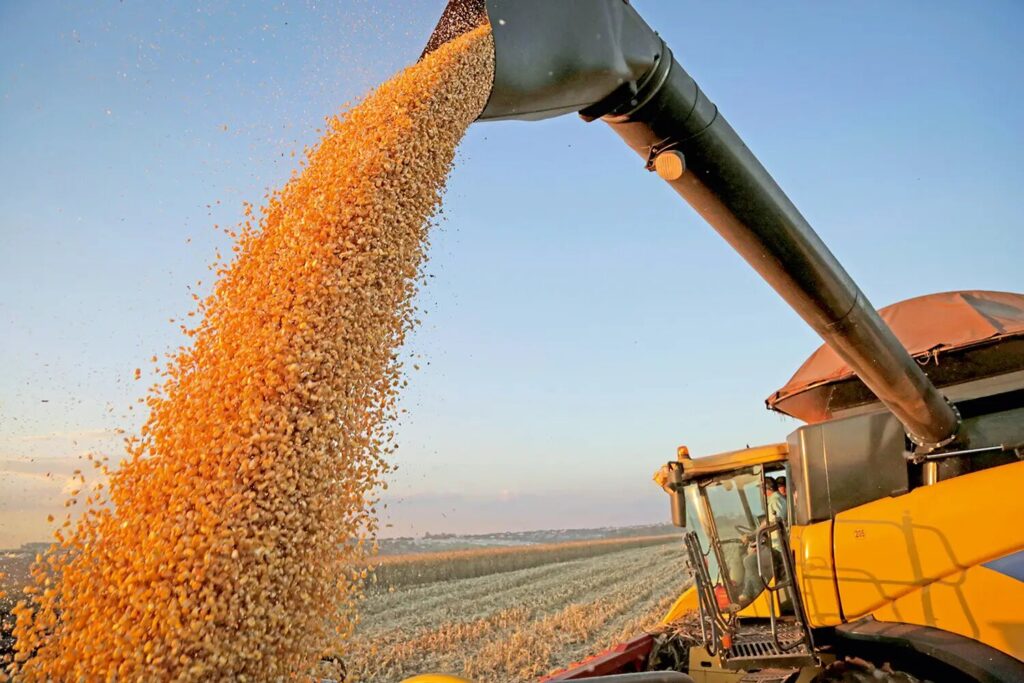 Causas da pobreza rural agronegócio