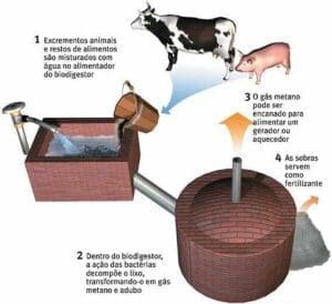 Biodigestores-funcionamento em áreas rurais