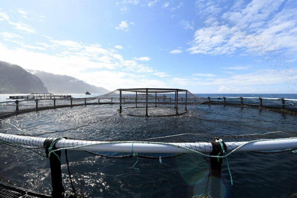 Aquicultura sustentável