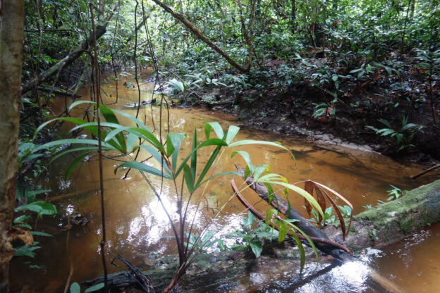 O que são Lençóis Freáticos? Porque estão sendo contaminados?