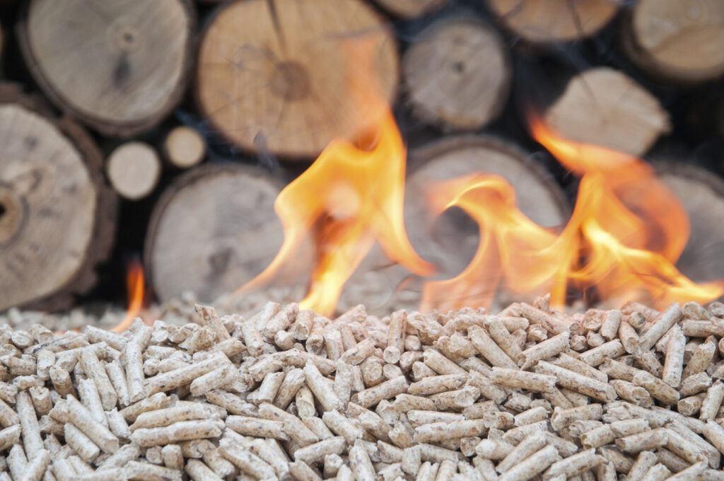 Geração de energia a partir da biomassa - vantagens e desvantagens