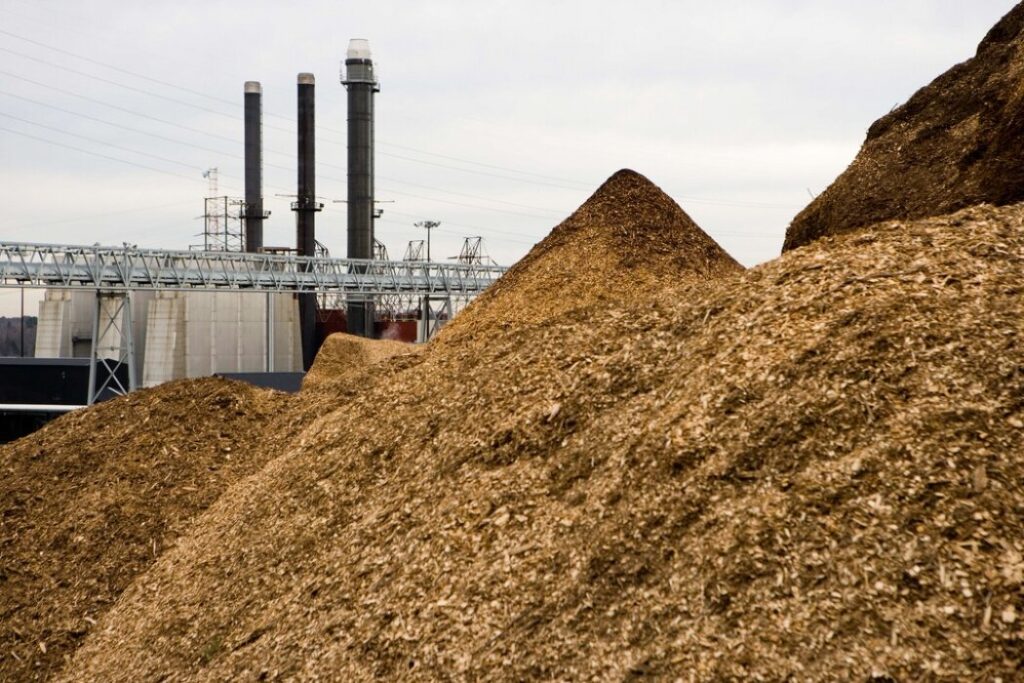 Usina para gerar energia através da biomassa - vantagens e desvantagens