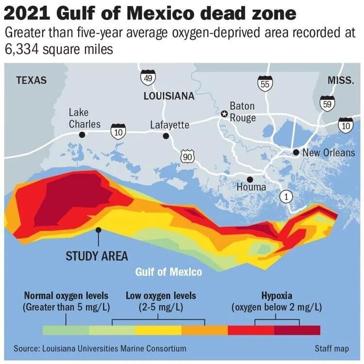 zona morta do Golfo do México