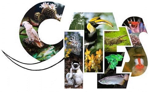 CITES: Protegendo a Biodiversidade por Meio da Preservação de Espécies