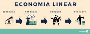 Economia linear