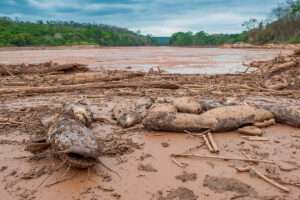 Destruição dos rios no Brasil