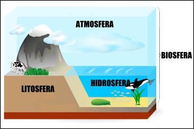 Divisões da Biosfera, camadas, biociclos e características