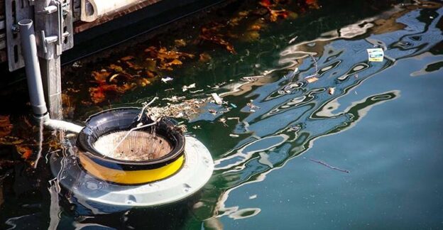 O Seabin: Uma solução inovadora para a poluição marinha