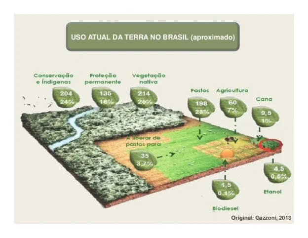 Mudança no Uso da Terra: uma fronteira além da sustentabilidade