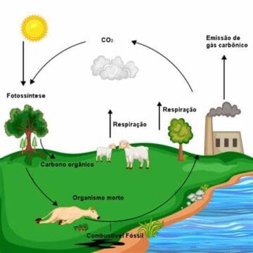 Esquema com indústrias, agronegócios e mar mostra os desafios atuais dos ciclos biogeoquímicos