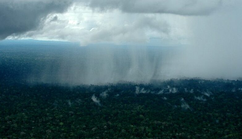 Amazônia importância dos rios voadores