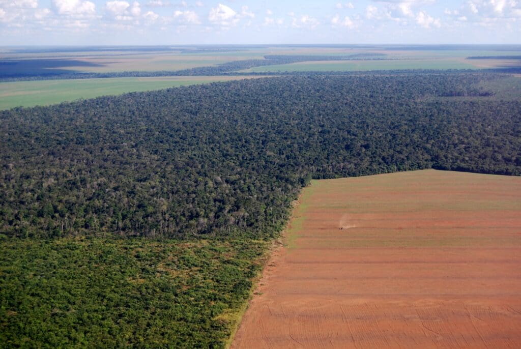 Destruição de habitat