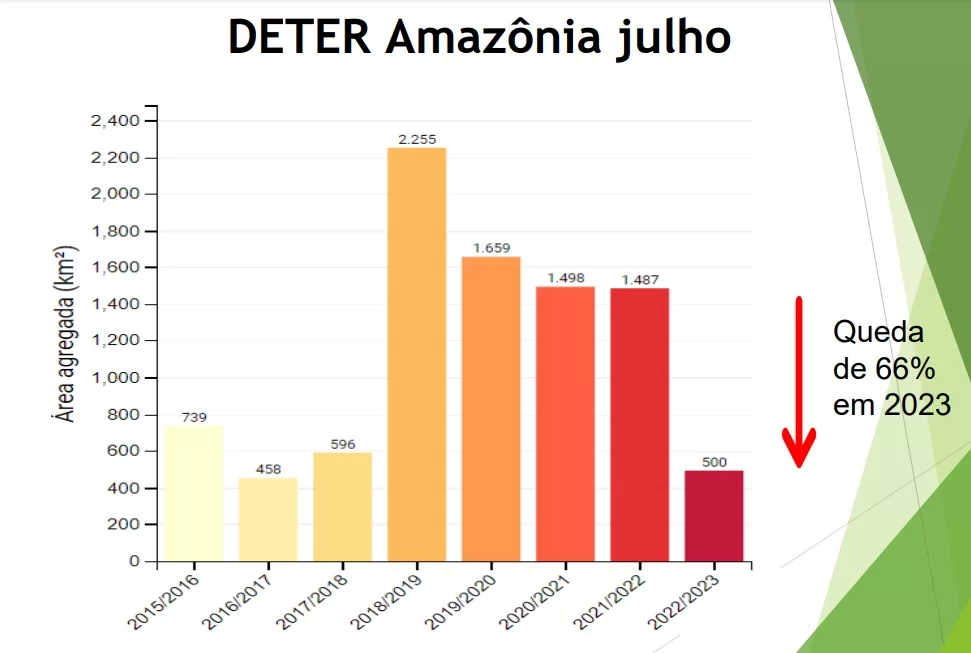 Impactos recentes do desmatamento na Amazônia
